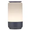 Activejet LED-decoratielamp AJE-CAMILLA RGB
