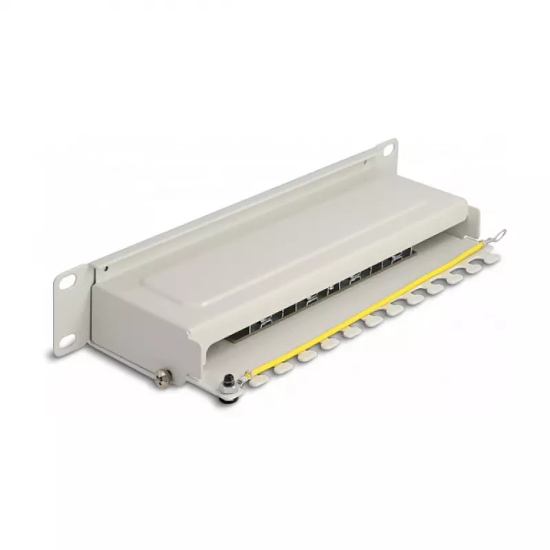 DeLOCK 10 inch patchpaneel 8 poorten Cat.6A 1U grijs