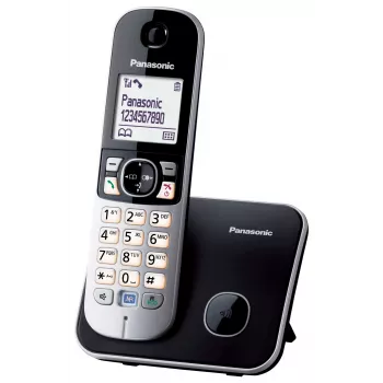 DECT-telefoon Panasonic KX-TG6811GB