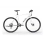 Sharp Gravel e-bike 250W motor app 70km wit glans