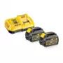 DeWalt DCB118T2-QW XR FLEXVOLT starterset, 2 accu's 54 V 2 Ah en lader