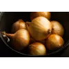 Wolska Onion Toraf groentezaden, 5g pakket