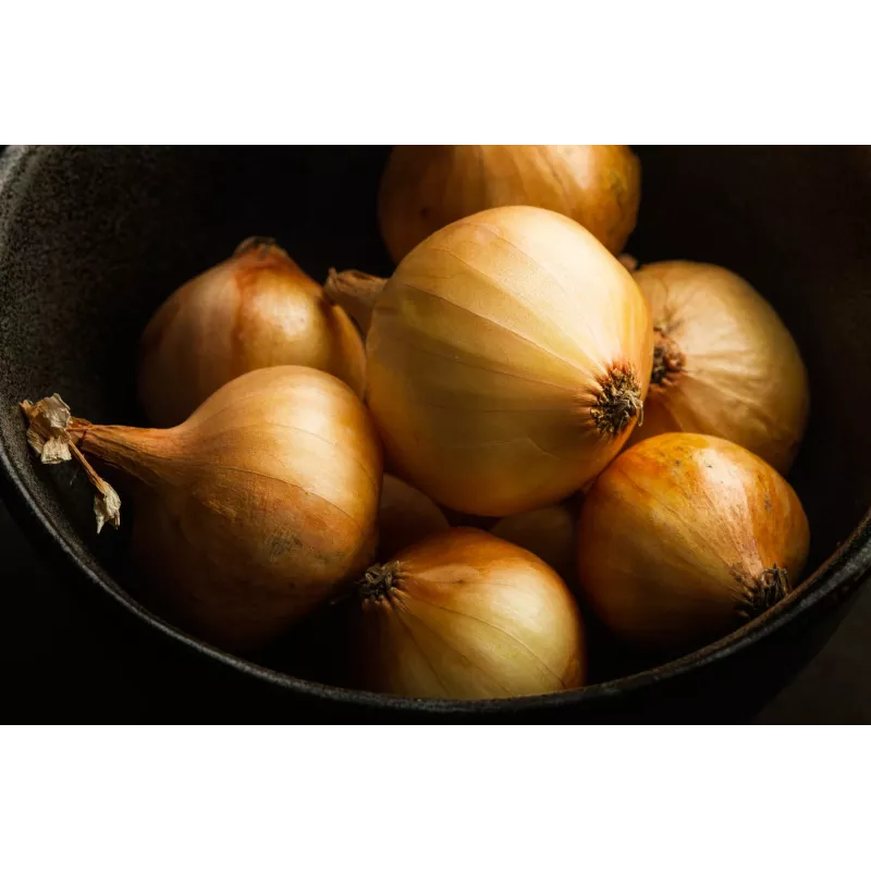 Wolska Onion Toraf groentezaden, 5g pakket