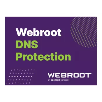 Webroot | DNS Protection with GSM Console | 2 jaar | licentienummer 10-99 gebruikers