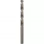 Bosch 2608595066 boor