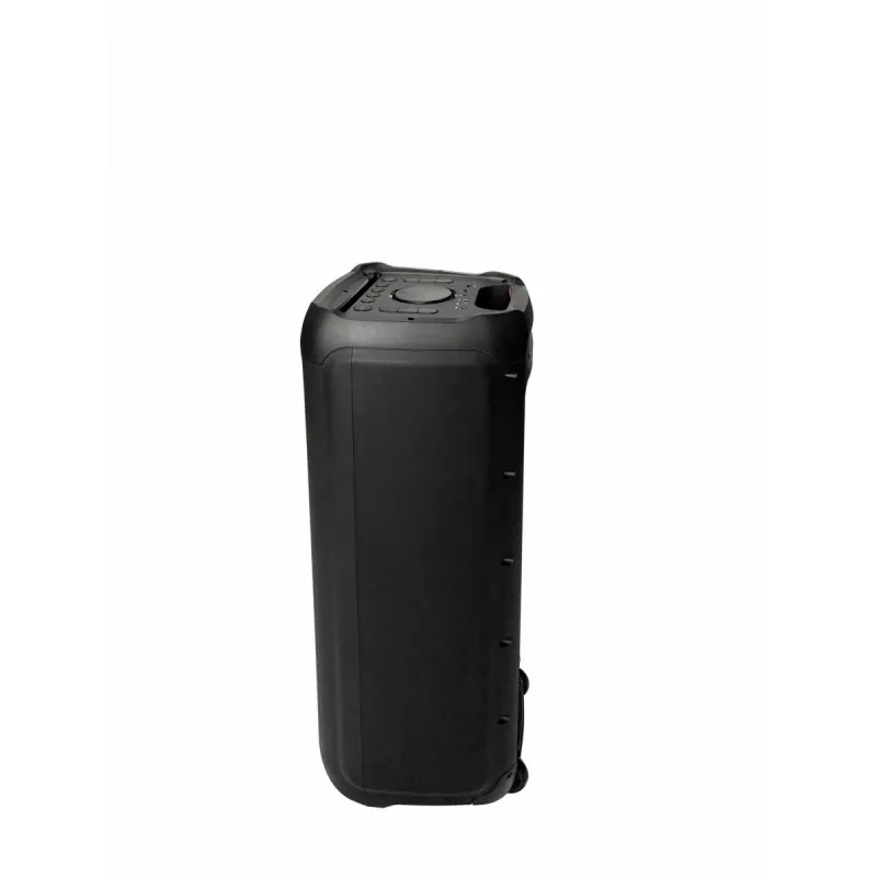 Karaokesysteem Blaupunkt PB10DB 1000W bedrade microfoon LED-indicatie