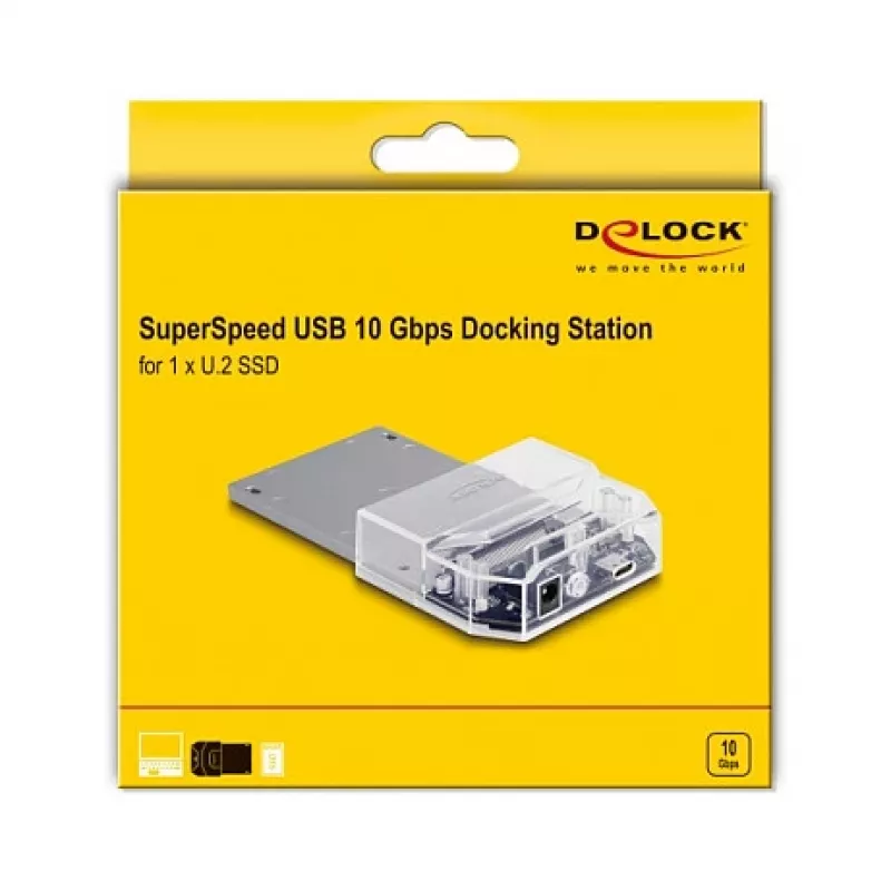 DeLOCK USB Type-C dockingstation voor 1 x U.2 SSD zwart
