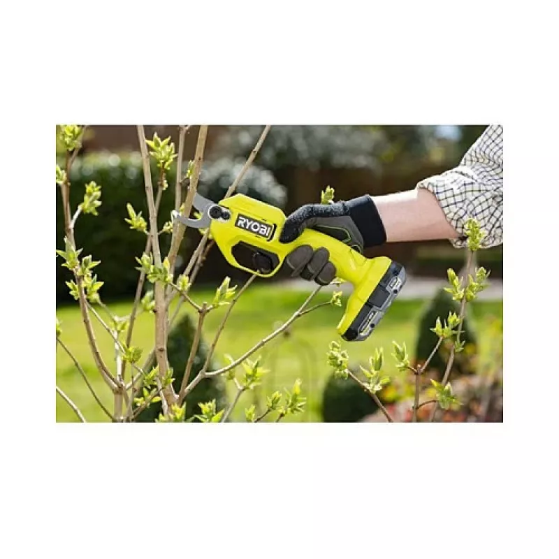 Ryobi takkenschaar