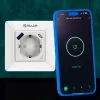 Slimme WLAN-wandstekker Tellur TLL331531 – 3600 W 16 A, WLAN-afstandsbediening