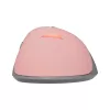 Muis Baracuda BGM-084 Lobster Pink USB