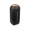 BLOW DJBOX 30-392# Bluetooth-speaker 250 W met afstandsbediening en microfoon, USB, microSD, AUX, TWS, ingebouwde accu, zwart