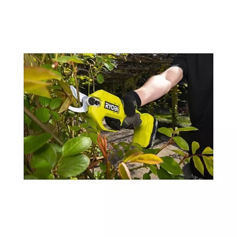 Ryobi takkenschaar