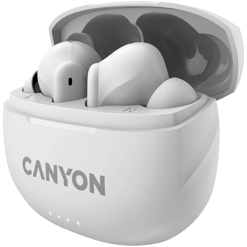 Canyon CNS-TWS8W Product Wit