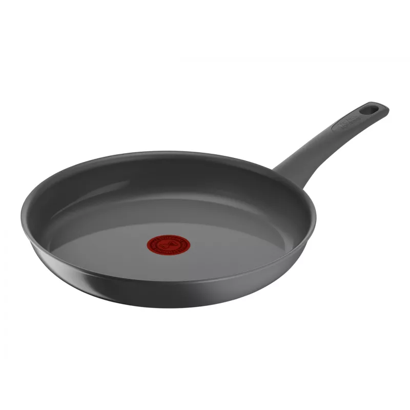 Braadpan Tefal C4260643, 28 cm diameter, geschikt voor inductie, vaste greep, grijs