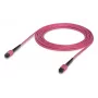 Glasvezelkabel MPO Ubiquiti UACC-OFC-MA-MPMP-5M 5m OM4