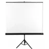 Avtek Tripod Standart 175 projectiescherm 1:1