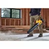 DEWALT. bladblazer 18V XR DCMBL562N