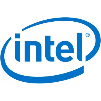 Intel Remote Management Module 4 Lite 2 - extern beheeradapter (AXXRMM4LITE2)