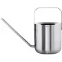 Gieter blomus PLANTO 1,0 l zilver – metalen kamerplanten-/tuingieter