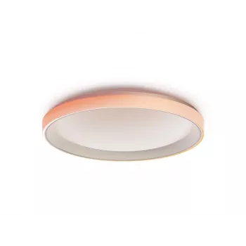 AQARA slimme plafondlamp T1M (CL-L02D)