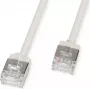 ROLINE U/FTP patchkabel Cat.6A ultrakorte RJ45 grijs 1m - netwerk - FTP (21.15.4501)