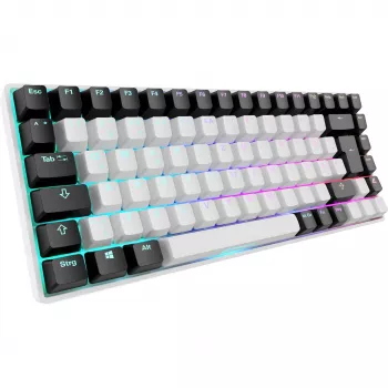 Sharkoon SKILLER SGK50 S3 - toetsenbord - 75% - achtergrondverlichting - USB - QWERTZ - Duits - toetsenschakelaars: Gateron Red (hot-swappable)