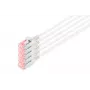 Digitus DK-1624-100S-5 CAT 6 U/FTP Slim patchkabel, 10 m, grijs, 5-pack