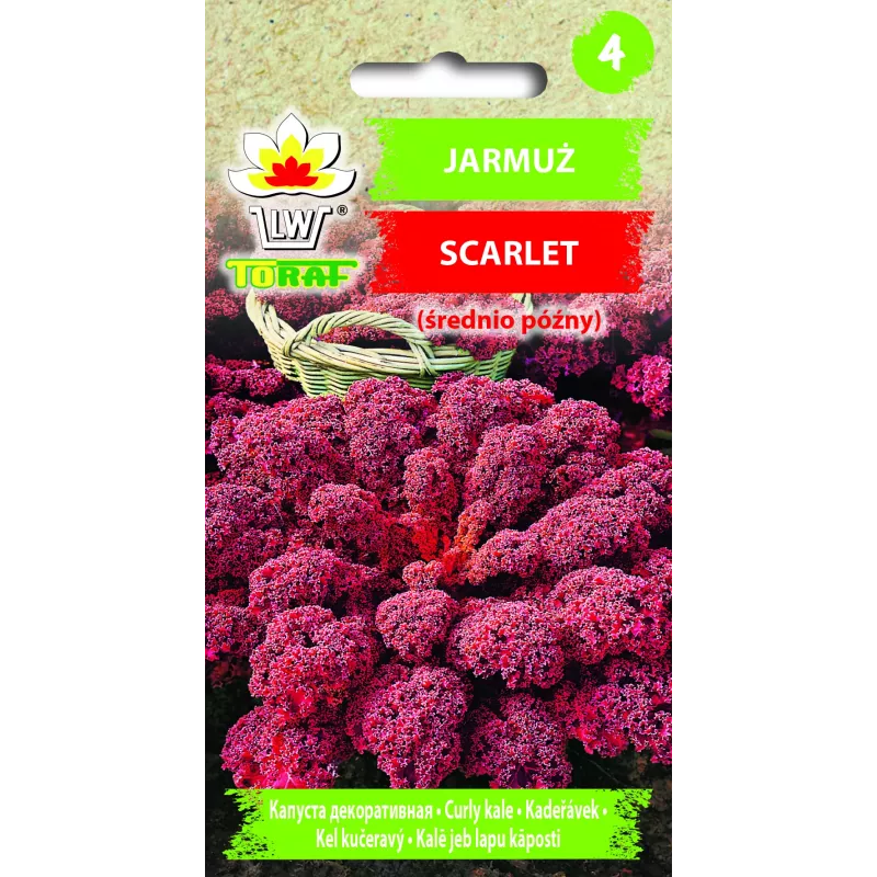 Scarlet Toraf boerenkoolzaden, 1g verpakking