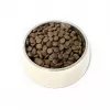 PUPIL Premium insecten - droogvoer voor honden - 12 kg
