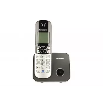 Panasonic KX-TG6811 DECT-telefoon met nummerweergave zwart