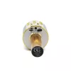 Microfoon MANTA MIC10-G goud nier draagbaar — condensator nier, handontwerp