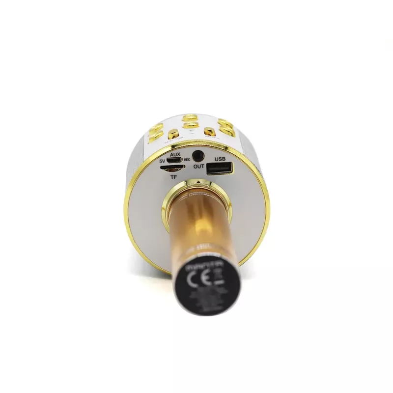 Microfoon MANTA MIC10-G goud nier draagbaar — condensator nier, handontwerp