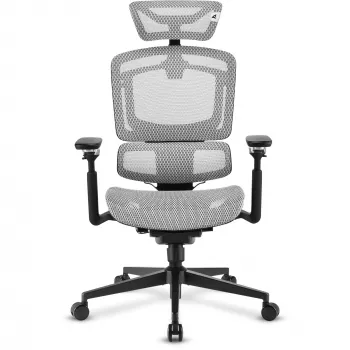 Bureaustoel Sharkoon OfficePal C50M — gevoerde zitting, mesh rugleuning, zwart, rugleuning 49 × 63 cm, zittingsbreedte 50 cm