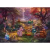 Thomas Kinkade Studios: Disney - Robin Hood, puzzel 1000 stukjes