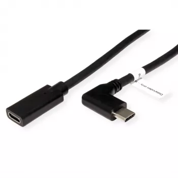 ROLINE 11.04.5496-10 - 2 m - USB Type-C - USB Type-C - stekker - bus - haaks (11.04.5496)