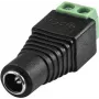 DC-voedingsadapterstekker EUROLITE 50532020 — holtestekker naar schroefklemadapter
