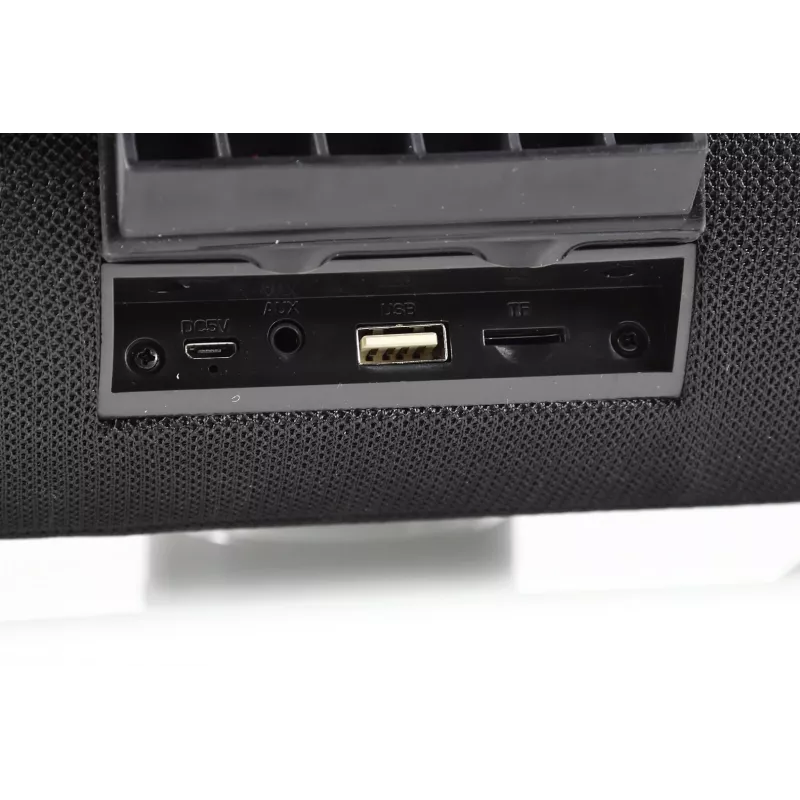 Manta SPK15GO-BK draagbare speaker, zwart
