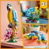 LEGO bouwset exotische papegaai 31136 — Creator displaymodel, 253 onderdelen, 220×120×110 mm