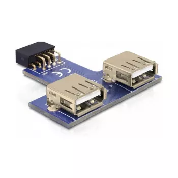 DeLOCK 9-pins 2,54 mm 2 x USB 2.0 1 x 9-pins 2,54 mm zwart blauw zilver