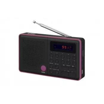 Radio Pliszka USB, FM zwart