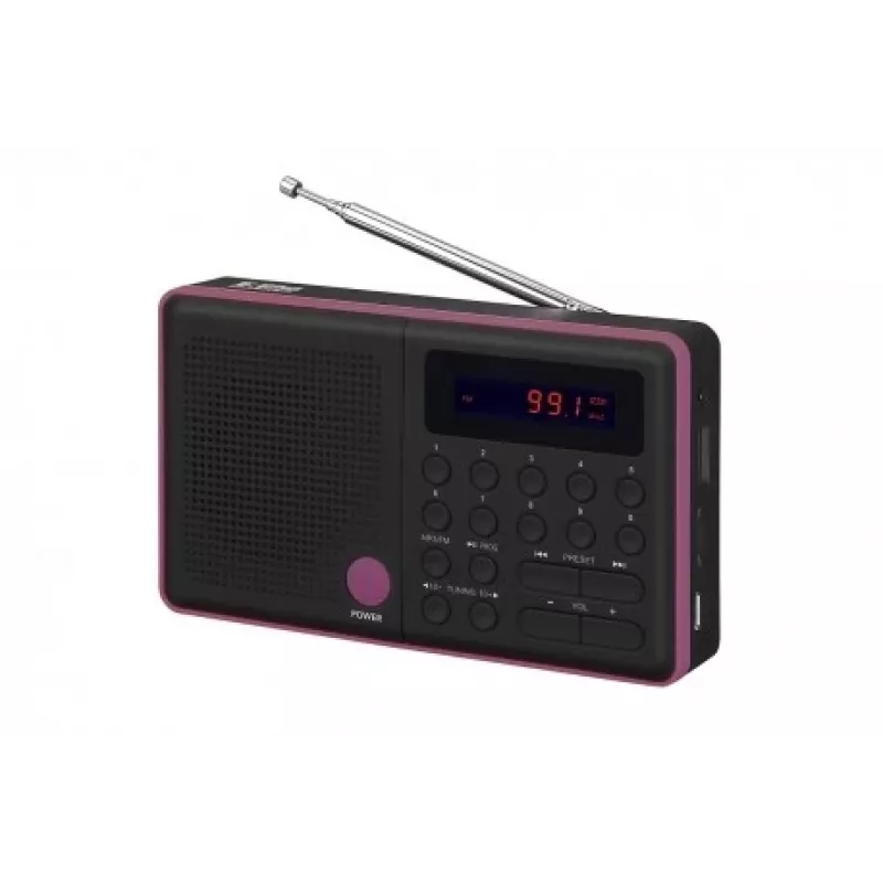 Radio Pliszka USB, FM zwart