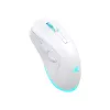 Muis Baracuda BGM-122 Turtle wit TURTLE-W