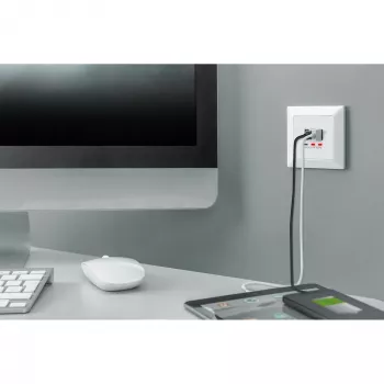DIGITUS DA-70618 - USB-uitgang - USB, USB Type C - 2 USB-aansluitingen, 1 USB-C-bus - 3,1 A - RAL 9003, signaalwit
