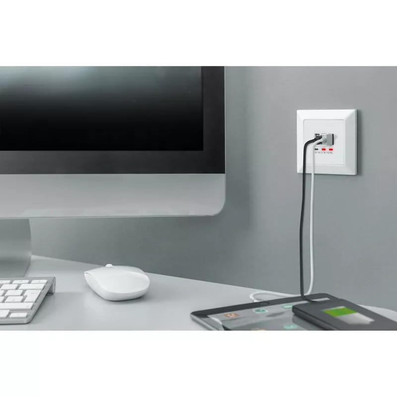 DIGITUS DA-70618 - USB-uitgang - USB, USB Type C - 2 USB-aansluitingen, 1 USB-C-bus - 3,1 A - RAL 9003, signaalwit