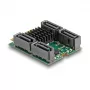 DeLOCK 61062 interne SATA-adapter M.2 naar SATA 6 Gbit/s RAID 0 1 10 JBOD