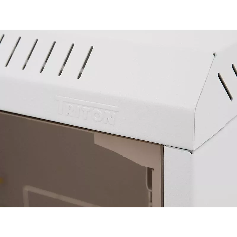 Wandmontage rack Triton RBA-09-AS5–CAX–A1 9U wit