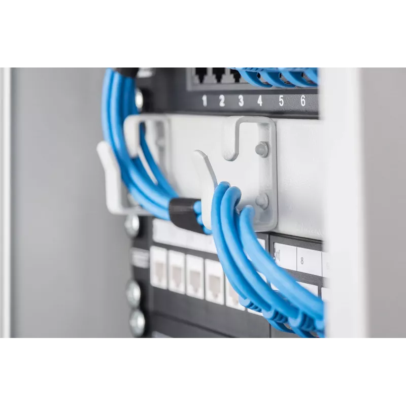 Kabelmanagement-paneel Digitus DN-10 ORG-1U
