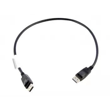 Lenovo 0,5 m DisplayPort zwart