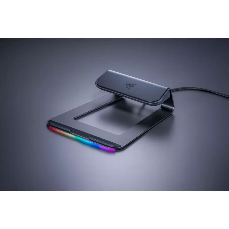Laptopstandaard Razer RC21-01110200-R3M1 zwart 38,1 cm (15 inch)