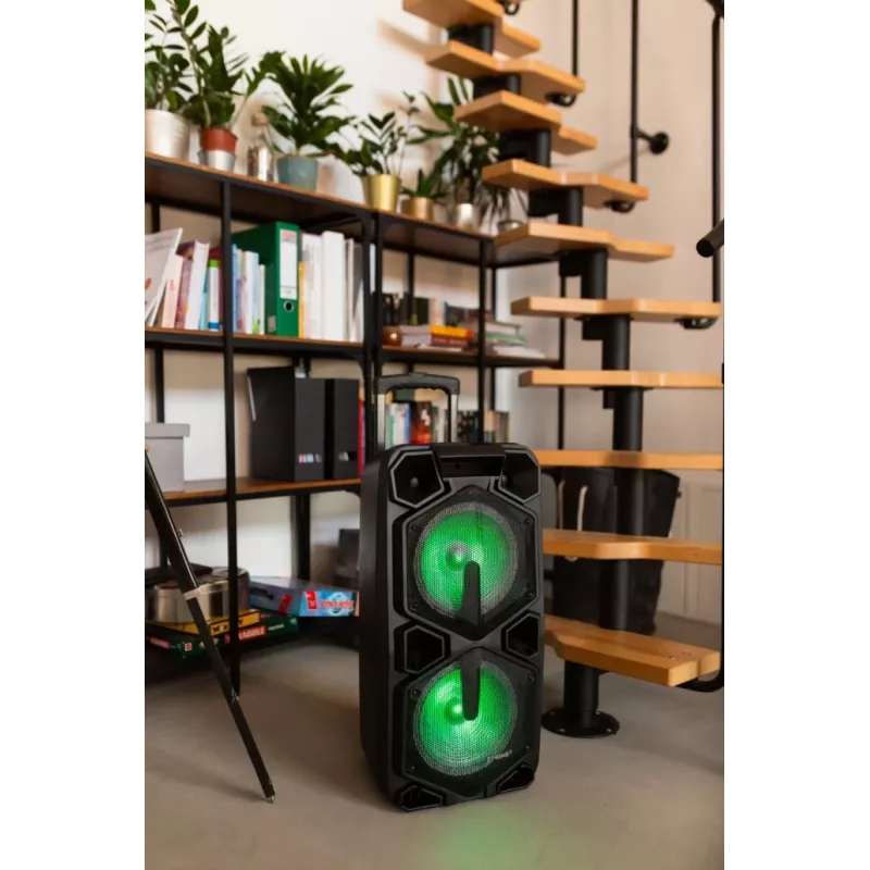 Draagbare luidspreker Prime3 APA20, zwart